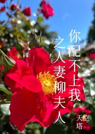 你配不上我(下) 之人妻柳夫人
